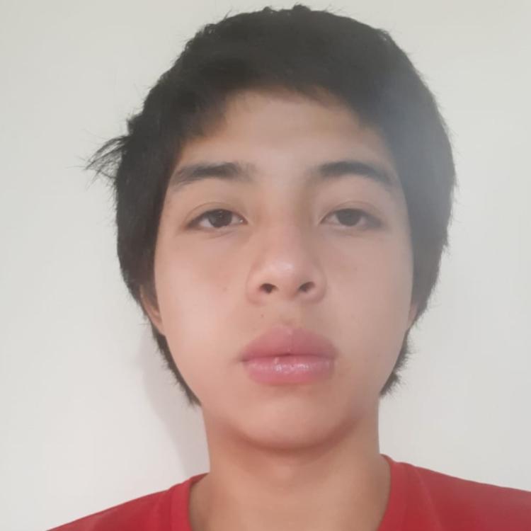 User Image